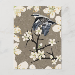 Shrike シーズンポストカード