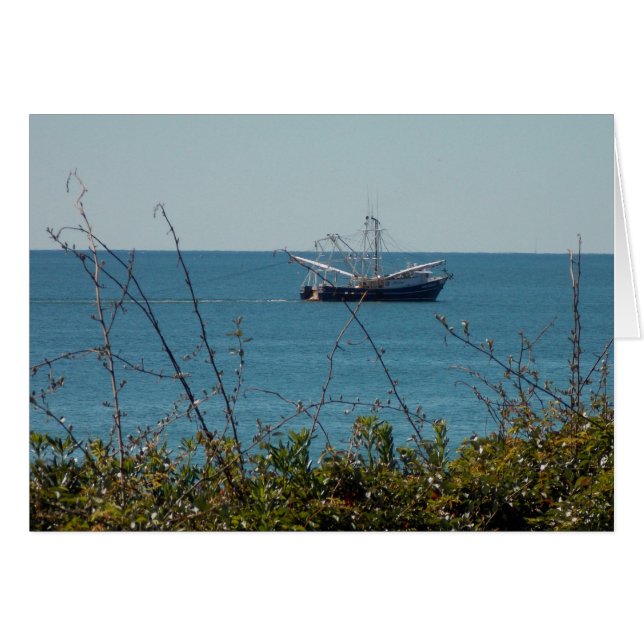 Shrimp'n (正面横)