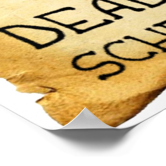 Shrodinger's Cat Funny Poster ポスター (角)