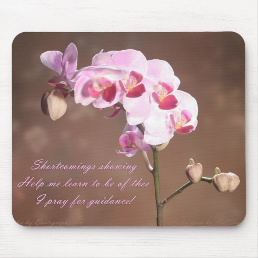 Shrtcomingsの提示 マウスパッド (正面)