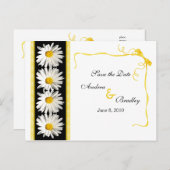 Shstaデイジー日付はがきを保存 案内ポストカード (正面/裏面)