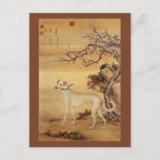 Shuanghuayao～霜花鹞 ～グレイハウンド～ジュゼッペ・カスティリオーネ ポストカード