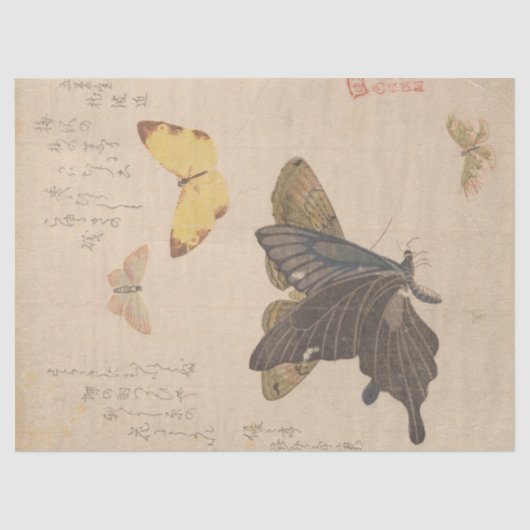 Shunman 絵画による蝶の群れの手引書 薄葉紙 (正面)