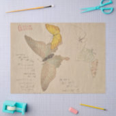 Shunman 絵画による蝶の群れの手引書 薄葉紙 (クラフト)