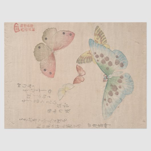Shunman 絵画による蝶の群れの手引書 薄葉紙 (正面)