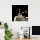 Shuttle ColumbiaからLAGEOS IIの発売(STS-52) ポスター (ホームオフィス)