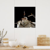 Shuttle ColumbiaからLAGEOS IIの発売(STS-52) ポスター (キッチン)