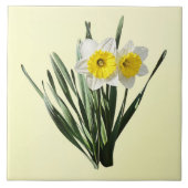 Shy Little Daffodil タイル (正面)