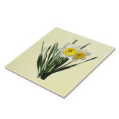 Shy Little Daffodil タイル (側面)