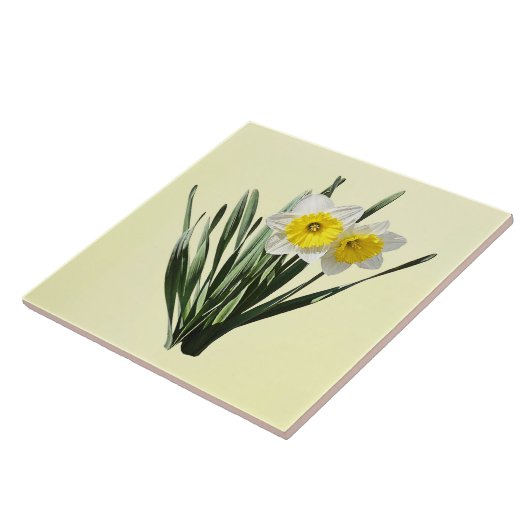 Shy Little Daffodil タイル (側面)