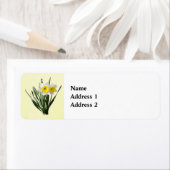 Shy Little Daffodil ラベル (インサイチュ)