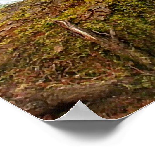 "Shy Little Vixen" ポスター (角)