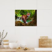 "Shy Little Vixen" ポスター (キッチン)