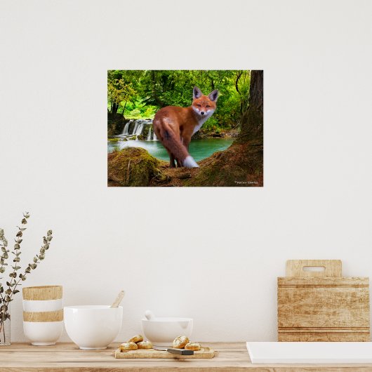 "Shy Little Vixen" ポスター (キッチン)