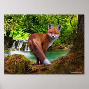 "Shy Little Vixen" ポスター