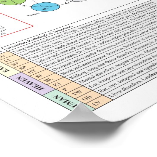 SI TW Meridian Acupuncture Points ポスター (角)