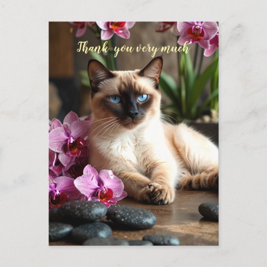 Siamese Cat感謝してい inスパ ポストカード (正面)