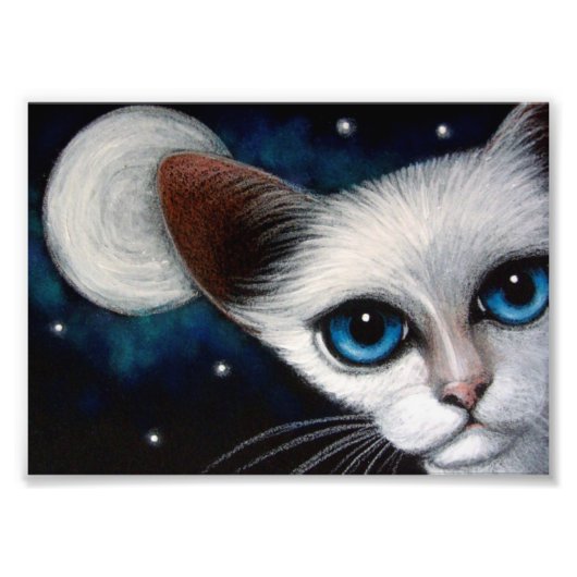 SIAMESE CAT 7" x 5"、Kodakフォト紙(Satin)  フォトプリント (正面)