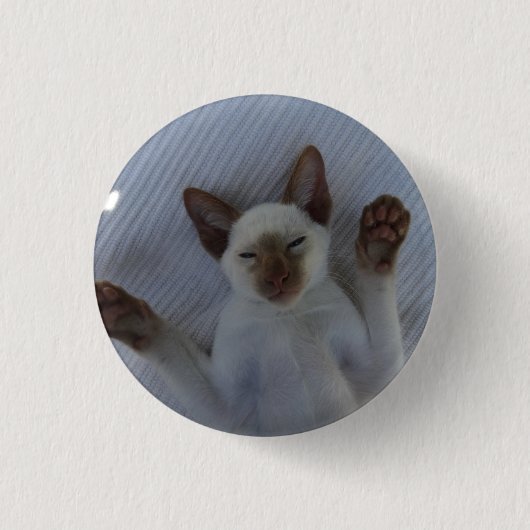 Siamese cat button 缶バッジ (正面)