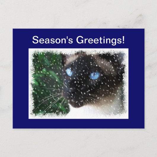 Siamese Cat Christmas Winter シーズンポストカード (正面)