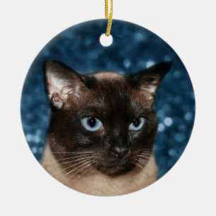 Siamese cat face セラミックオーナメント