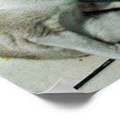 Siamese Cat Friend ポスター (角)