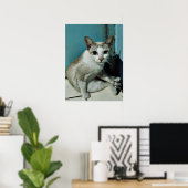 Siamese Cat Friend ポスター (ホームオフィス)