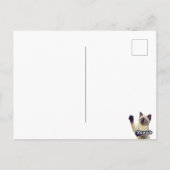 Siamese Cat Hello Thereカスタムメッセージ ポストカード (裏面)