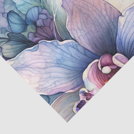 Siamese Cat Orchid Flowers Portrait 薄葉紙 (詳細)