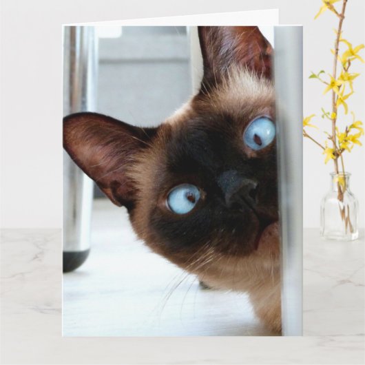 SIAMESE CAT PEEKING HAPPY BIRTHDAY GREETNG  カード (黄色い花)