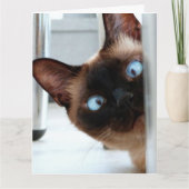SIAMESE CAT PEEKING HAPPY BIRTHDAY GREETNG  カード (正面)