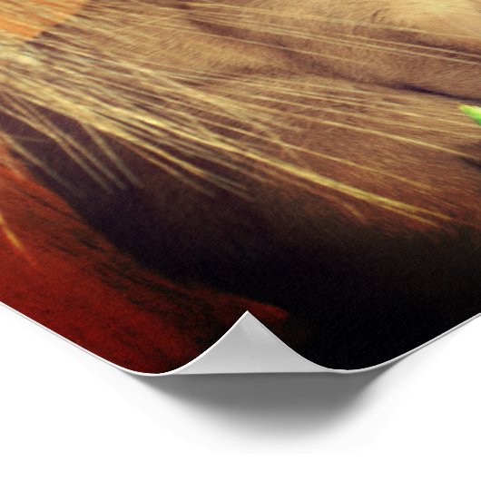 Siamese Cat Posing With Flowers ポスター (角)