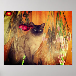 Siamese Cat Posing With Flowers ポスター