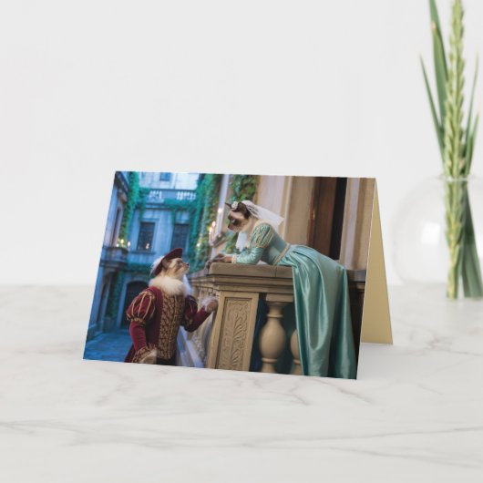 Siamese Cat Valentine Card シーズンカード (正面)