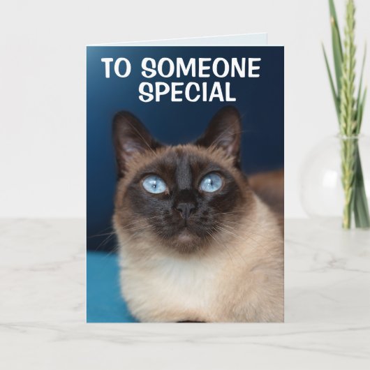 SIAMESE CAT WHO特別誕生日 カード (正面)