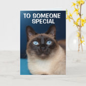 SIAMESE CAT WHO特別誕生日 カード (黄色い花)