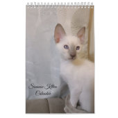 Siamese Cats Calendar カレンダー (カバー)