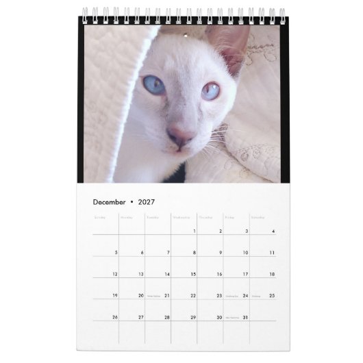 Siamese Cats Calendar カレンダー (12月 2027)
