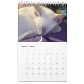 Siamese Cats Calendar カレンダー (1月 2026)