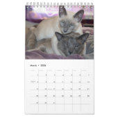 Siamese Cats Calendar カレンダー (3月 2026)
