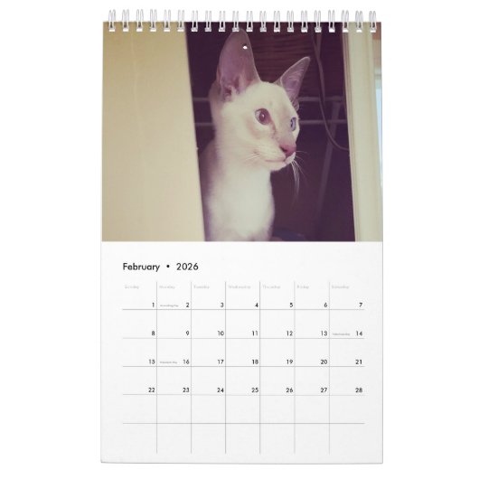 Siamese Cats Calendar カレンダー (2月 2026)