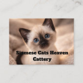 Siamese Cats Heaven Cattery Customizable Business  名刺 (正面)