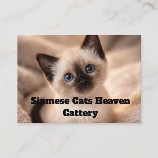 Siamese Cats Heaven Cattery Customizable Business  名刺 (正面)