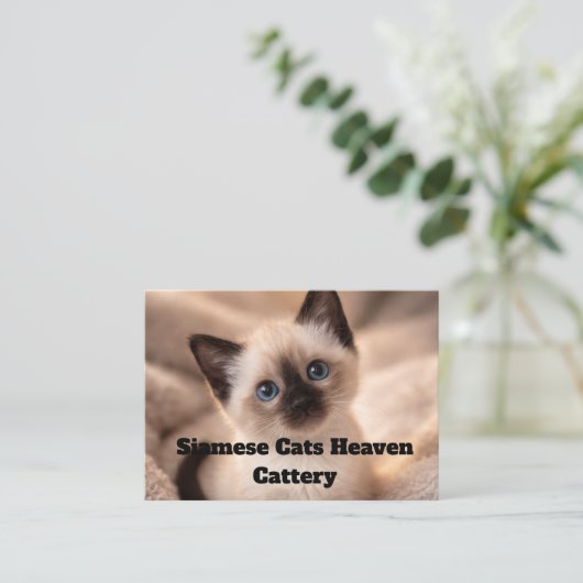 Siamese Cats Heaven Cattery Customizable Business  名刺 (スタンド正面)