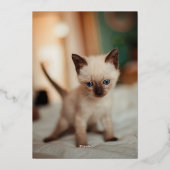 Siamese christmas 箔シーズンカード (裏面)