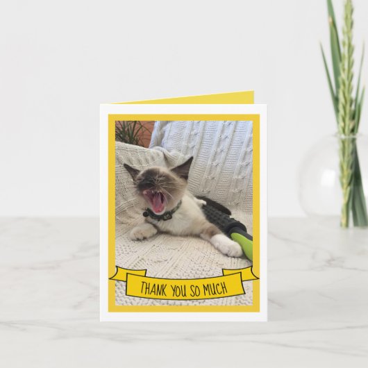 Siamese Kittenユーモアのあるの写真をどうもありがとう サンキューカード (正面)