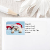 Siamese Kitten：クリスマス子猫 ラベル (インサイチュ)