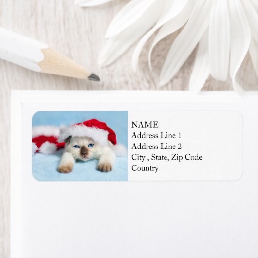 Siamese Kitten：クリスマス子猫 ラベル (インサイチュ)