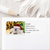 Siamese Kitten:金ゴールドオーナメント ラベル (インサイチュ)