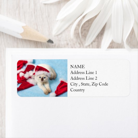 Siamese Kitten: Santa Hats ラベル (インサイチュ)